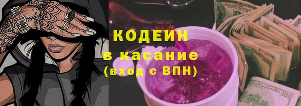 шишки Алзамай