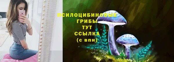 трава Абаза