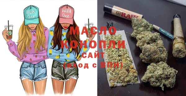 молекула духа Ростов