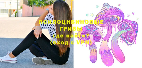 дурь Алексеевка