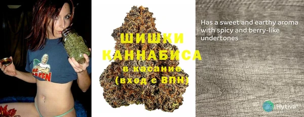 шишки Алзамай