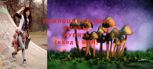 скорость Алексин