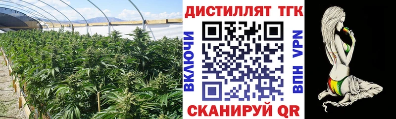 купить наркоту  Змеиногорск  ТГК вейп 