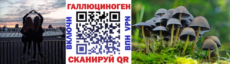 Галлюциногенные грибы GOLDEN TEACHER  что такое наркотик  Змеиногорск 